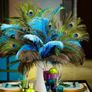 Real Peacock Feathers Image 6