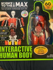 Human body