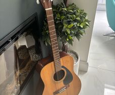 Yamaha Acoustic F-310