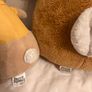 Peter rabbit and cotton tail tedddies Image 4