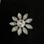 brooch Image 2