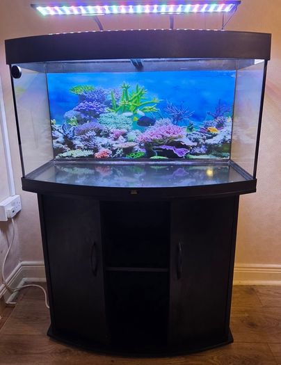 Juwel 180 aquarium
