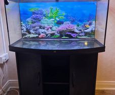 Juwel 180 aquarium