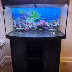 Juwel 180 aquarium