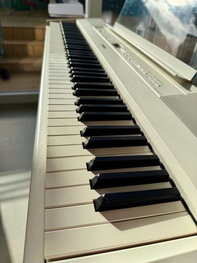 Yamaha P525 Digital Piano