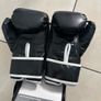 Everlast Boxing Gloves Image 2