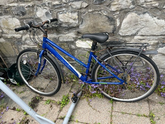 Free ladies bike