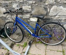 Free ladies bike