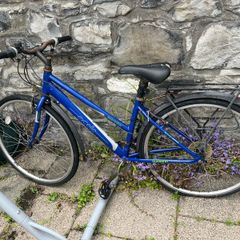 Free ladies bike