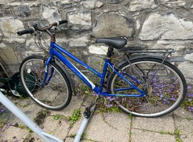 Free ladies bike