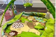 Play mat baby gym