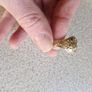 9ct gold college ring Image 2