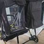 Double Buggy Image 7