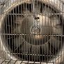 AINOX Commercial Convection Oven  Fully Working Image 3