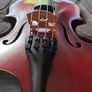 1/2 size Eastman Westbury violin Image 4