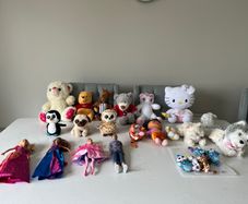 Beanie Boos, Teddys and Disney Princess dolls