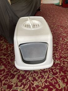 cats- litter box