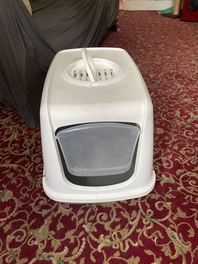 cats- litter box