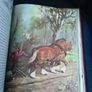 Album of Horses" by Marguerite Henry Image 4