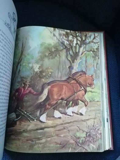 Album of Horses" by Marguerite Henry