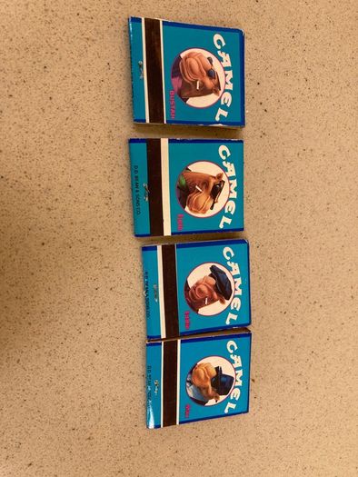 Camel set of matches
