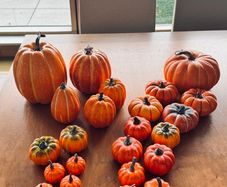 Halloween Decorations