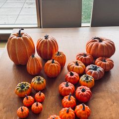 Halloween Decorations