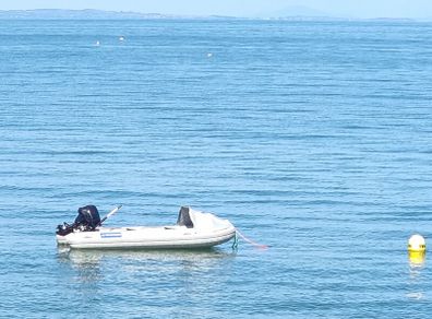 New Ribs 380 & 400 Aer V Wayler Mariner