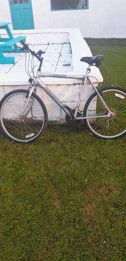2 bikes for sale, need work