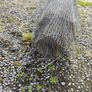 chicken wire and other wire Image 8