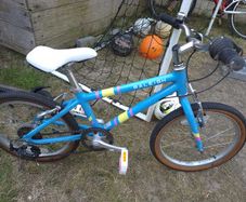 Girls raleigh bike