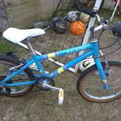 Girls raleigh bike