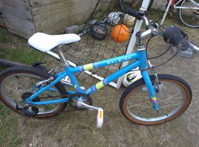 Girls raleigh bike