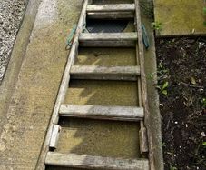 wooden ladder