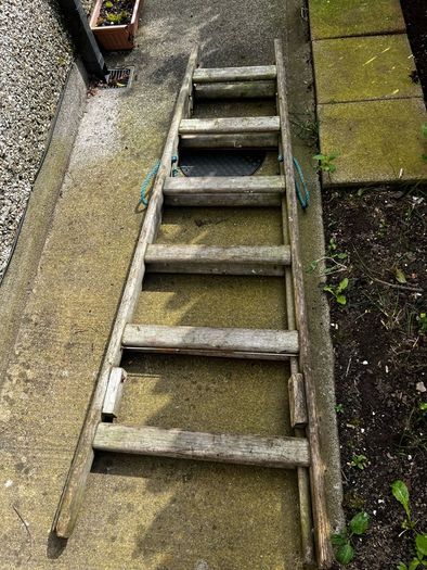 wooden ladder