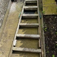 ladder