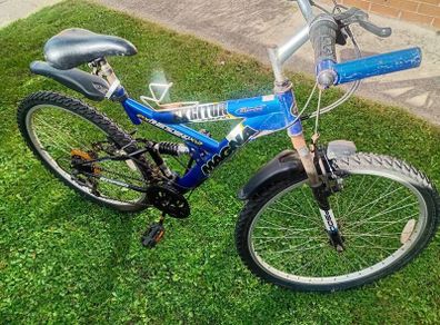 adults bike