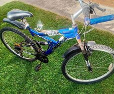adults bike