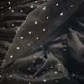 Halloween Baby Dress Image 3