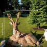 Antlered deer statue - resin Image 3
