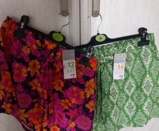 Summer Shorts BNWT x3
