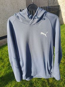 Puma Evostripe Hoodie Men