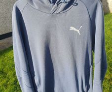 Puma Evostripe Hoodie Men