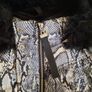 River Island Jacket size uk4 petite Image 4