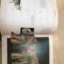 Cat Companion birthday book Image 3