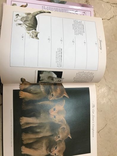 Cat Companion birthday book
