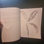 Life under the lens: A Scientific Colouring Book (Soft cover) Image 4