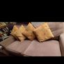 Cushions Image 4