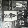 Stiff Records, A Bunch of Stiffs compilation, German Copy from 1977, Motorhead, Elvis Costello, Nick Lowe. Image 3