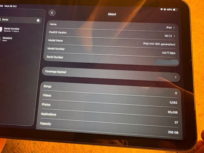 Apple iPad Mini 6th Gen - 256GB